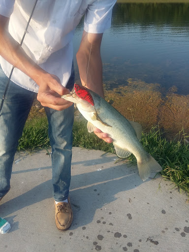 Park «Waterview Park», reviews and photos, 1700 Whitecliff Dr, Duncanville, TX 75137, USA