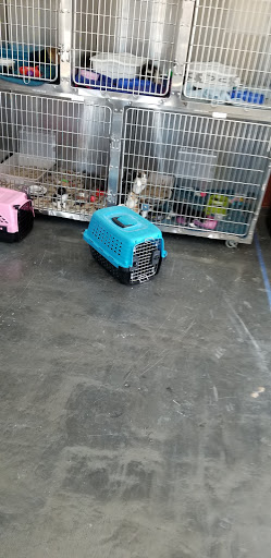 Animal Shelter «Humane Society of El Paso», reviews and photos