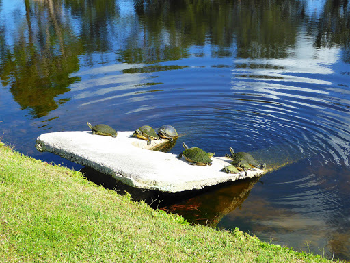 Country Club «Rosedale Golf & Country Club», reviews and photos, 5100 87th St E, Bradenton, FL 34211, USA