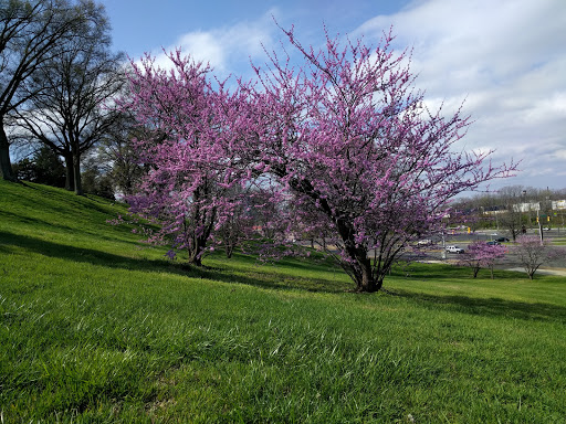 State Park «Bicentennial Capitol Mall State Park», reviews and photos, 600 James Robertson Pkwy, Nashville, TN 37243, USA