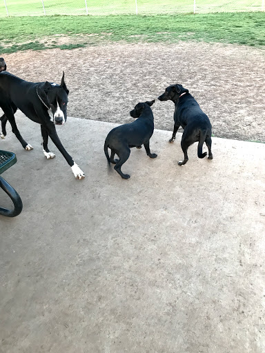 Dog Park «Bedford Bark Park», reviews and photos, 3200 Meadow Park Dr, Bedford, TX 76021, USA