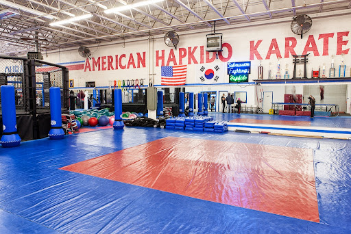 American Hapkido Karate