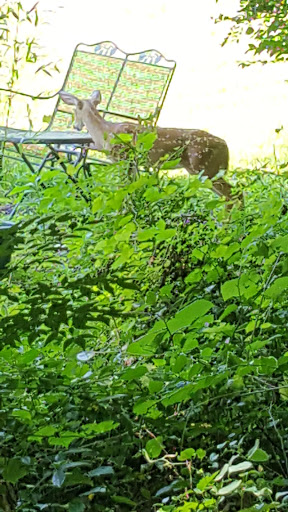 Park «Braelinn Recreation Center», reviews and photos, 201 Log House Rd, Peachtree City, GA 30269, USA