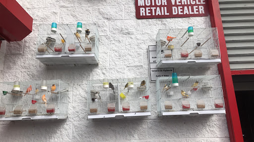 Used Car Dealer «Chase Auto Group», reviews and photos, 1733 E Gun Hill Rd, Bronx, NY 10469, USA