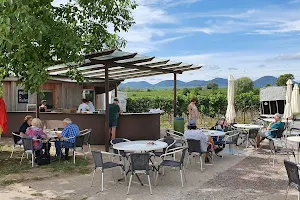 Pergola am Nußdorfer Weinerlebnispfad image