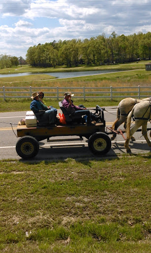 Golf Club «Coopers Hawk Golf Club», reviews and photos, AR-69 Spur, Melbourne, AR 72556, USA