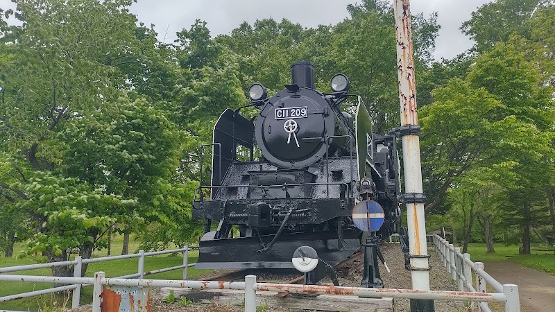 蒸気機関車C11 209号機