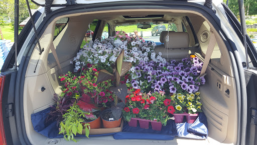 Florist «Parkview Gardens Florist & Greenhouse», reviews and photos, 1925 W Randolph St, St Charles, MO 63301, USA