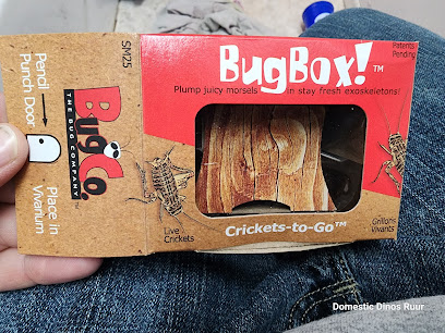 Bug Co