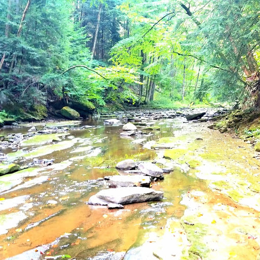 Tourist Attraction «Winsdor Mills Covered Bridge», reviews and photos, 7696 Warner Hollow Rd, Windsor, OH 44099, USA