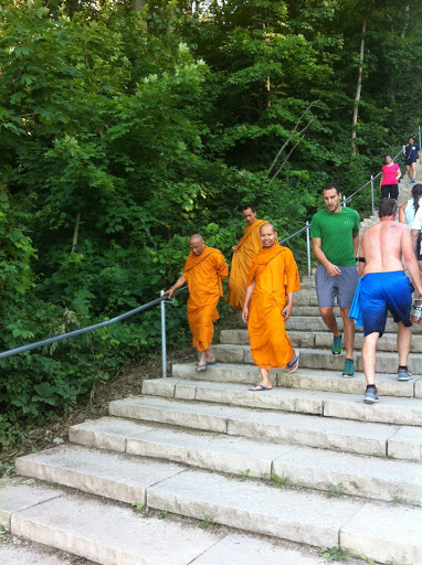 Nature Preserve «Swallow Cliff Woods South», reviews and photos, Illinois Rt 83 & US Rt 45, Palos Park, IL 60464, USA