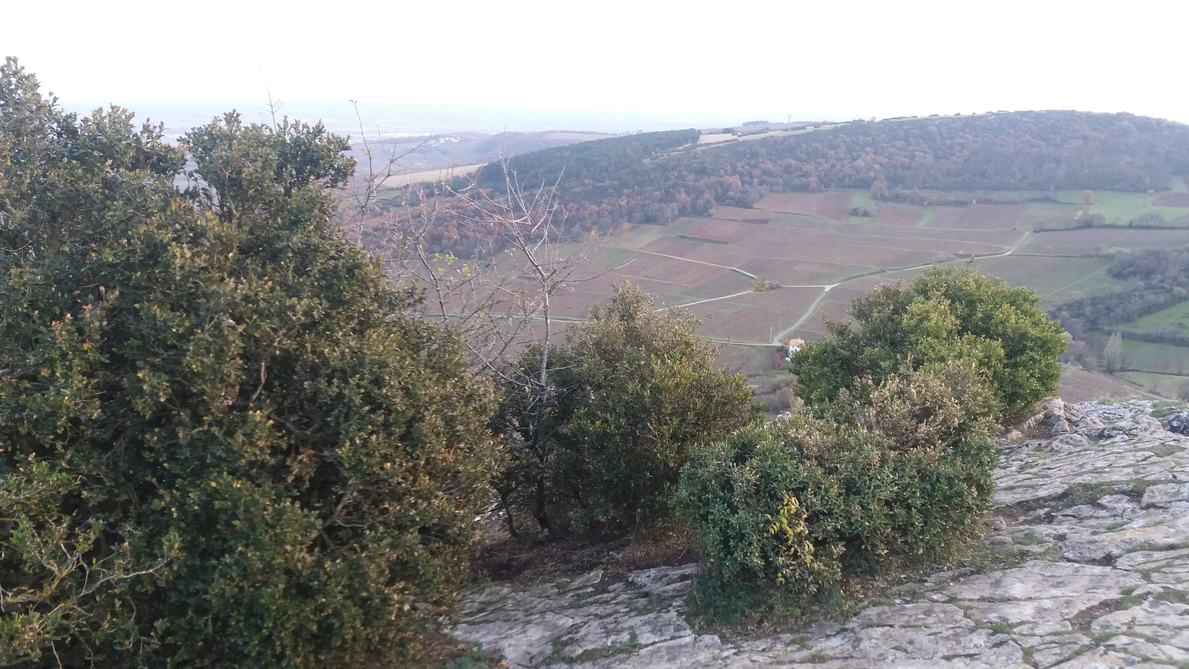 Photo n° 29 de l'avis de Kylian.u fait le 26/03/2018 à 06:09