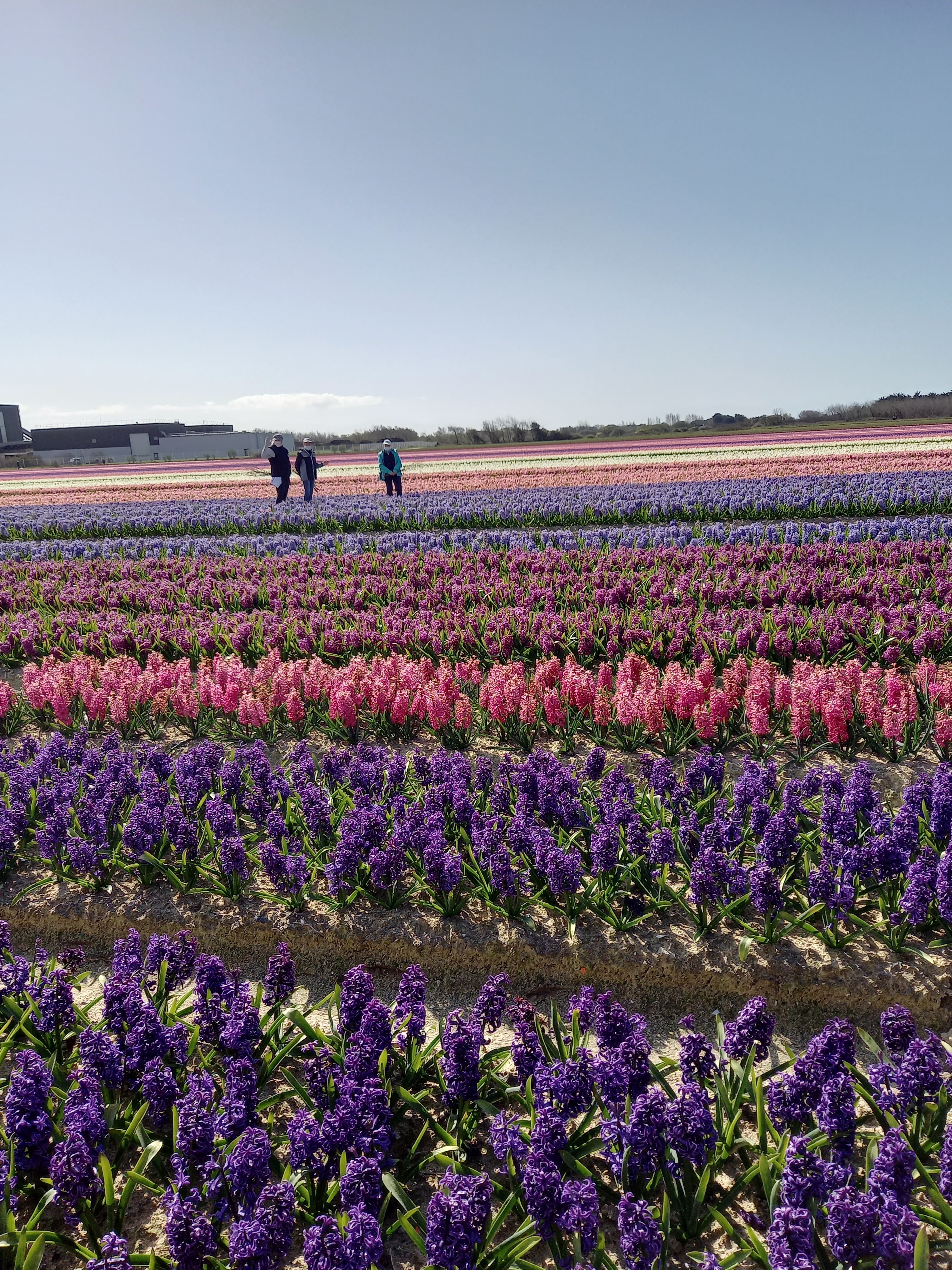 Photo n° 4 de l'avis de denis.i fait le 25/03/2021 à 11:34