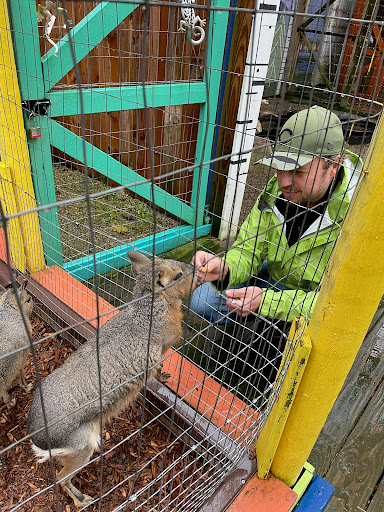 Farm «Wild Hearts Zoo - African Farm and Petting Zoo», reviews and photos, 8079 Salem Rd, Lewisburg, OH 45338, USA