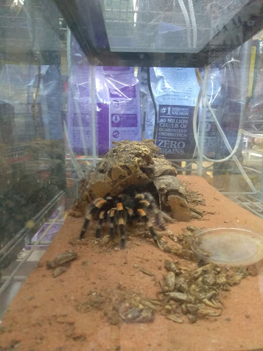 Pet Supply Store «El Granero Feed & Pet Supplies», reviews and photos, 2228 Church Ln, San Pablo, CA 94806, USA