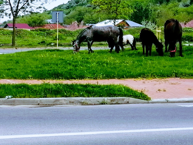 Piaţa Ecaterina Teodoroiu 13, Slatina, România