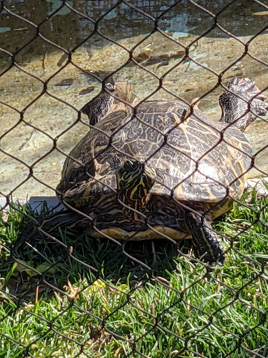 Zoo «Kansas Wildlife Exhibit», reviews and photos, 600-630 Nims N, Wichita, KS 67203, USA
