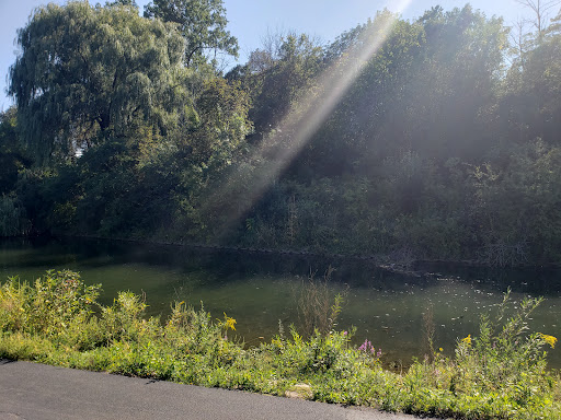 Tourist Attraction «Hoyt Lake», reviews and photos, 199 Lincoln Pkwy, Buffalo, NY 14222, USA