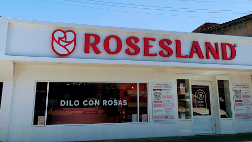 Tiendas de rosas en Tijuana