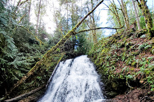 Dickerson Creek waterfall