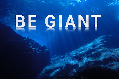 Giant Squid Inc