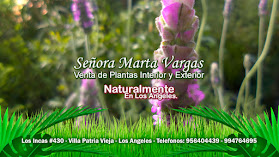 Señora Marta Vargas - Venta de plantas Interior y Exterior