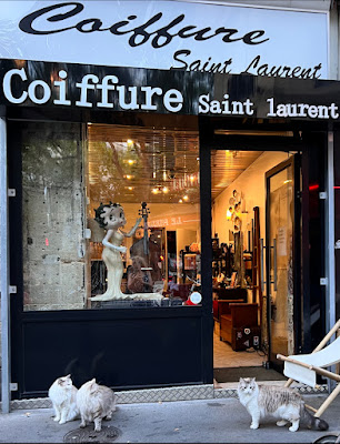 Coiffure St Laurent gare de l'est à Paris