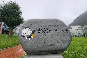 Yeongyang Firefly Observatory image