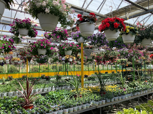 Florist «Dutch & Olgas Greenhouse», reviews and photos, 1285 NJ-36, Hazlet, NJ 07730, USA