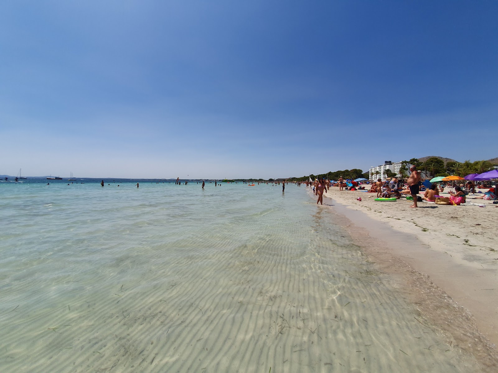 Foto van Alcudia Strand en de nederzetting