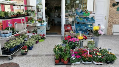 Leroy Fleurs et Plantes à Noyon