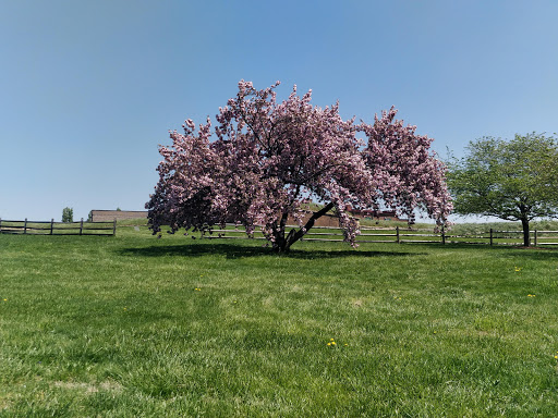 National Park «Fort McHenry National Monument and Historic Shrine», reviews and photos, 2400 E Fort Ave, Baltimore, MD 21230, USA