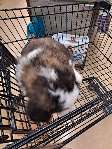 Shopping Mall «Highlands Square Shopping Center», reviews and photos, 250 Highlands Square Dr, Hendersonville, NC 28792, USA