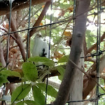 Photo n°25 de l'avis de Alessandro.o fait le 05/09/2021 à 09:01 sur le  Parc Gallorose à Loc. Cedrino