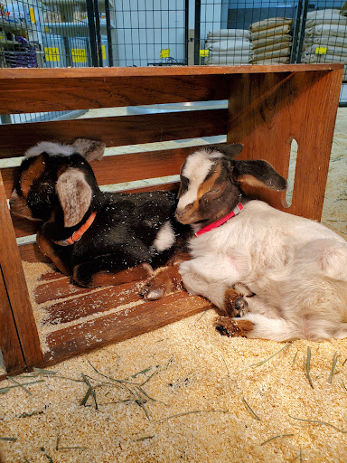 Animal Feed Store «FELDMANS Farm & Home», reviews and photos, 1332 W Kansas St, Liberty, MO 64068, USA