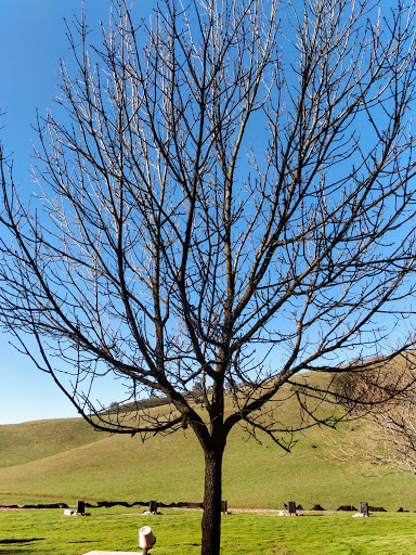 Coyote Valley Sporting Clays image