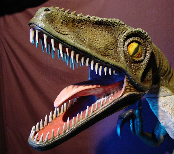 Reviews of Dinostar in Hull - Museum