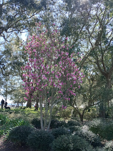 Memorial Park «Memorial Park», reviews and photos, 1620 Riverside Ave, Jacksonville, FL 32204, USA