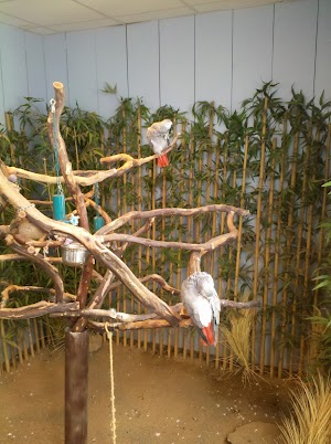 National Aviary - photo 46