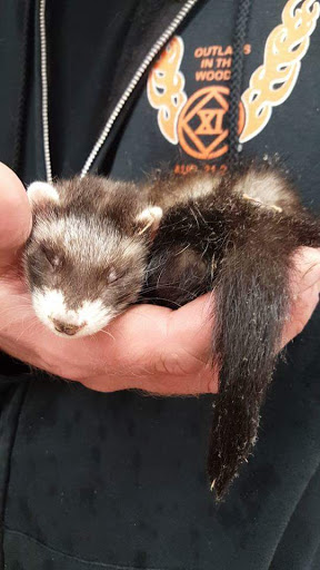 Pet Supply Store «Petco Animal Supplies», reviews and photos, 891 NE D St, Grants Pass, OR 97526, USA