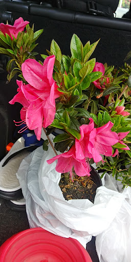 Event Venue «Florence Events Center», reviews and photos, 715 Quince St, Florence, OR 97439, USA