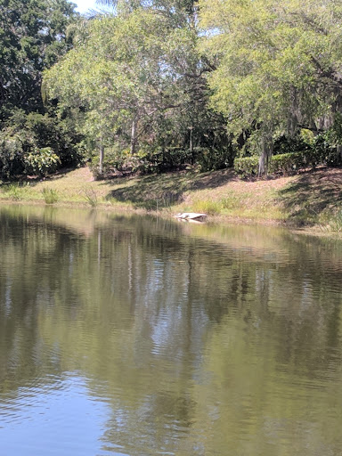 Public Golf Course «University Park Country Club», reviews and photos, 7671 The Park Blvd, University Park, FL 34201, USA