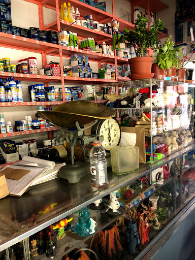 Pet Store «J & J Pet Shop», reviews and photos, 715 E Tremont Ave # 1, Bronx, NY 10457, USA