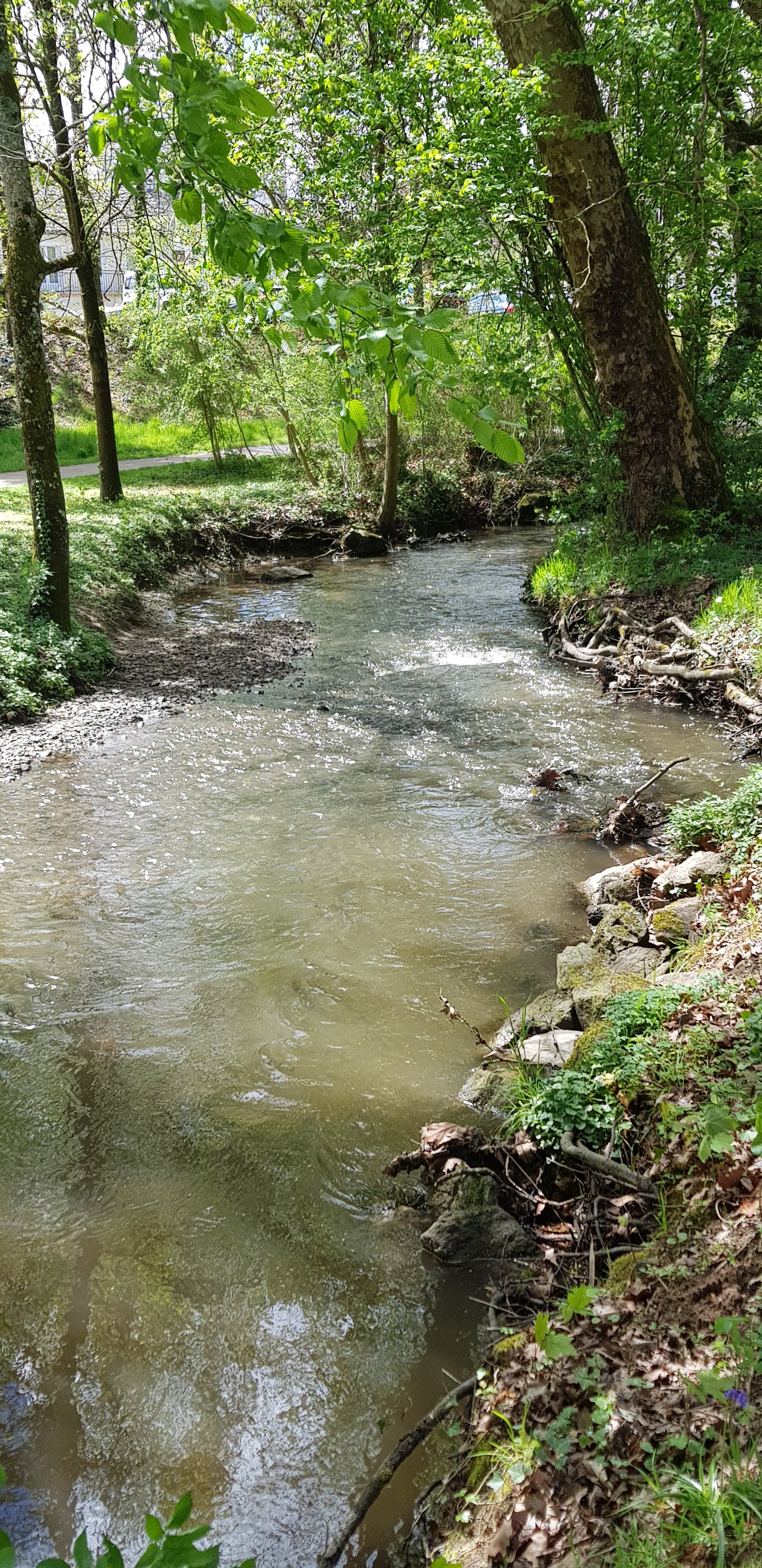 Photo n° 3 de l'avis de Le.e fait le 24/04/2019 à 12:55