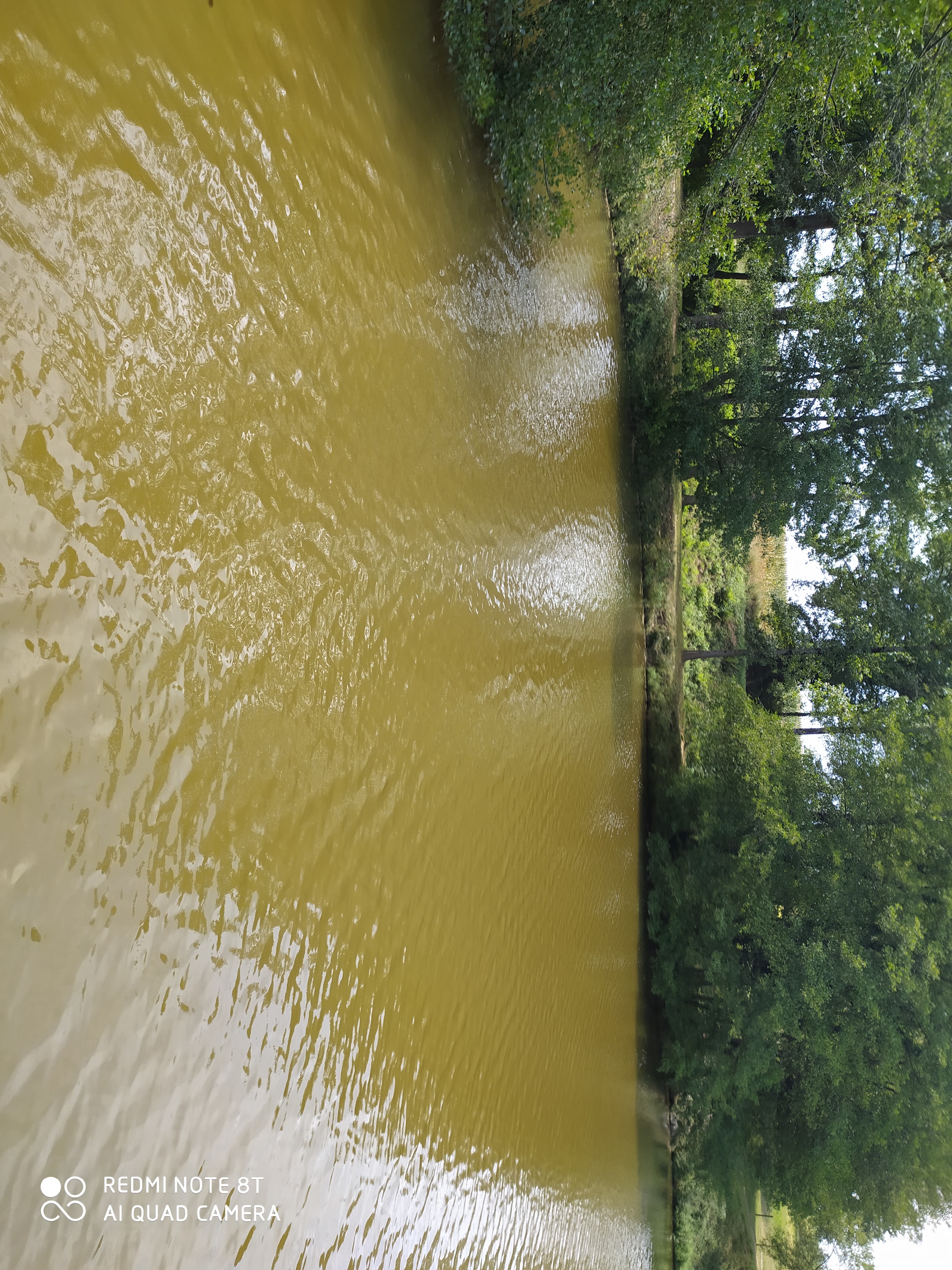 Photo n° 1 de l'avis de philippe.e fait le 22/07/2020 à 13:16