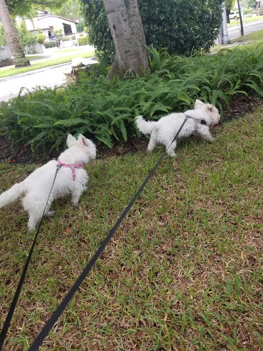 Park «Simpson Park», reviews and photos, 5 SW 17th Rd, Miami, FL 33129, USA