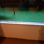 Photo n°12 de l'avis de Angelika.r fait le 26/10/2018 à 10:57 sur le  Natur- und Wanderhotel am Steinbachtal | Garni à Bad Kötzting