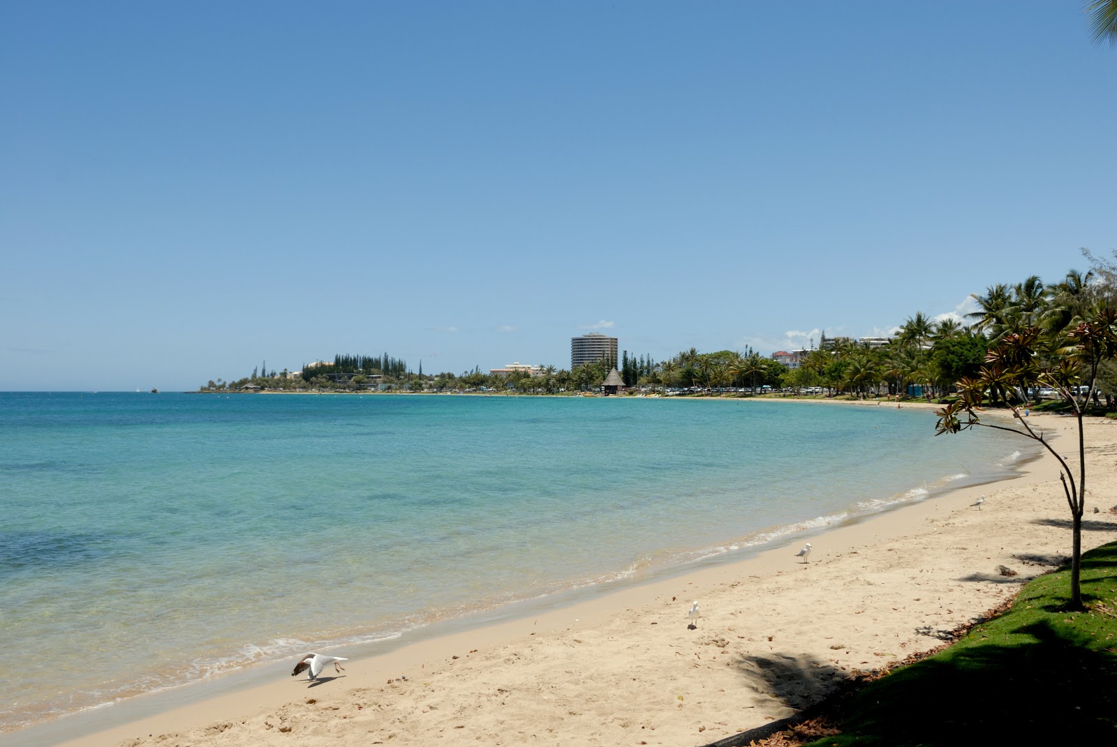 Fotografie cu Plage de l'Anse Vata - locul popular printre cunoscătorii de relaxare