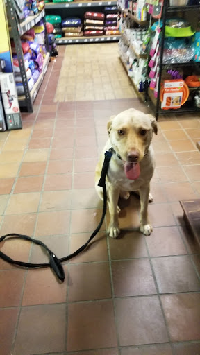 Pet Supply Store «Stately Pet Supply», reviews and photos, 515 S State St, Clarks Summit, PA 18411, USA