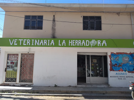 Veterinaria La Herradura